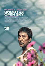 Watch Free Under the Open Sky (2020)