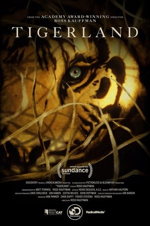 Watch Free Tigerland (2019)