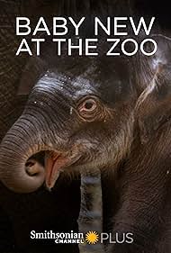 Watch Free Baby New at the Zoo (2007)