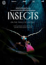 Watch Free Mysterious Origins of Insects (2024)