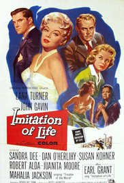 Watch Free Imitation of Life (1959)